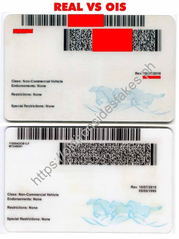 Montana Driver License (MT) | old ironsides fakes - Image 2