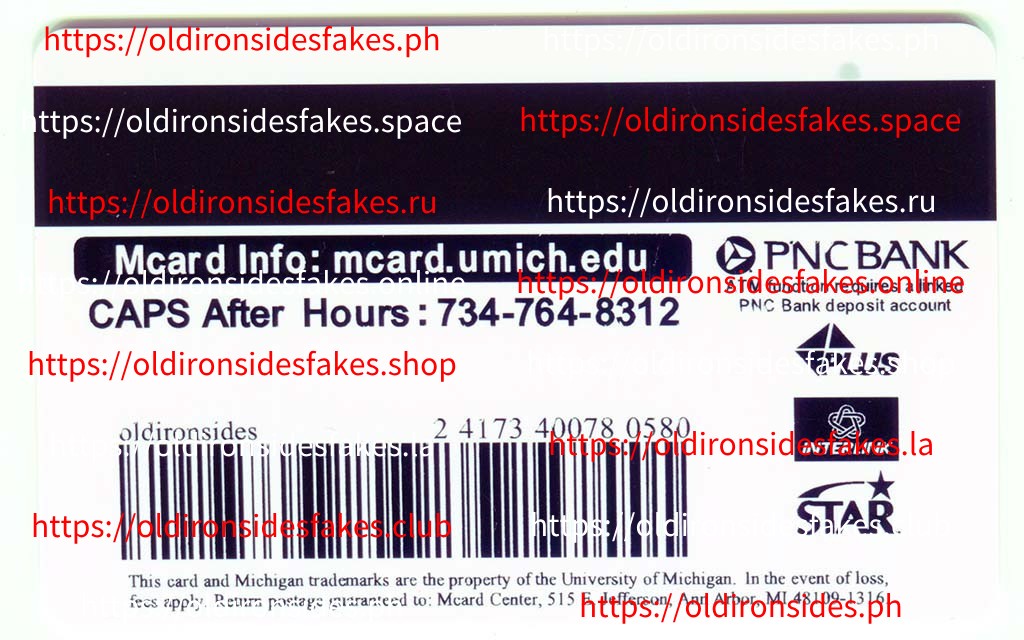 MI ANN ARBOR University - Image 2